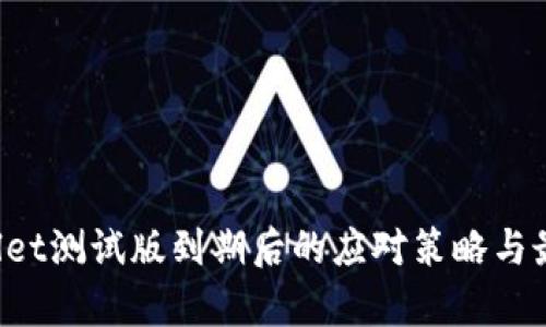  tpWallet测试版到期后的应对策略与最佳实践