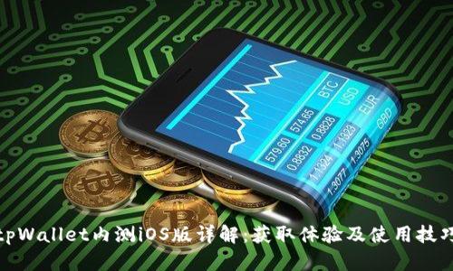 tpWallet内测iOS版详解：获取体验及使用技巧