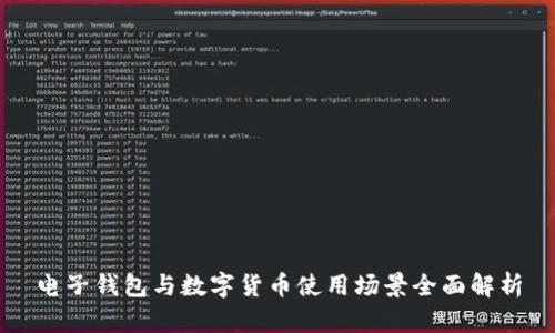 电子钱包与数字货币使用场景全面解析