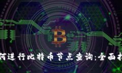 如何进行比特币节点查询