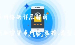 加密货币网络的详尽解析