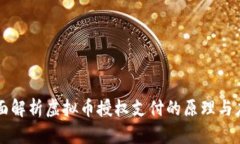 全面解析虚拟币授权支付